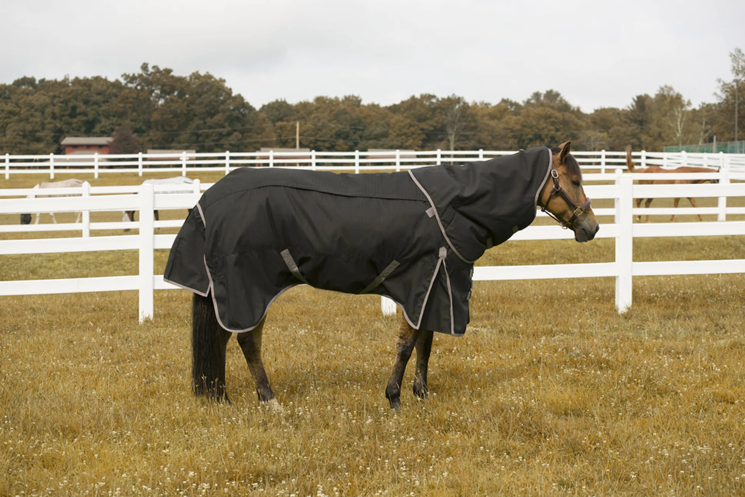 TuffRider 4-in-1 Waterproof All Season Blanket