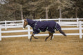 TuffRider All Season Turnout Blanket