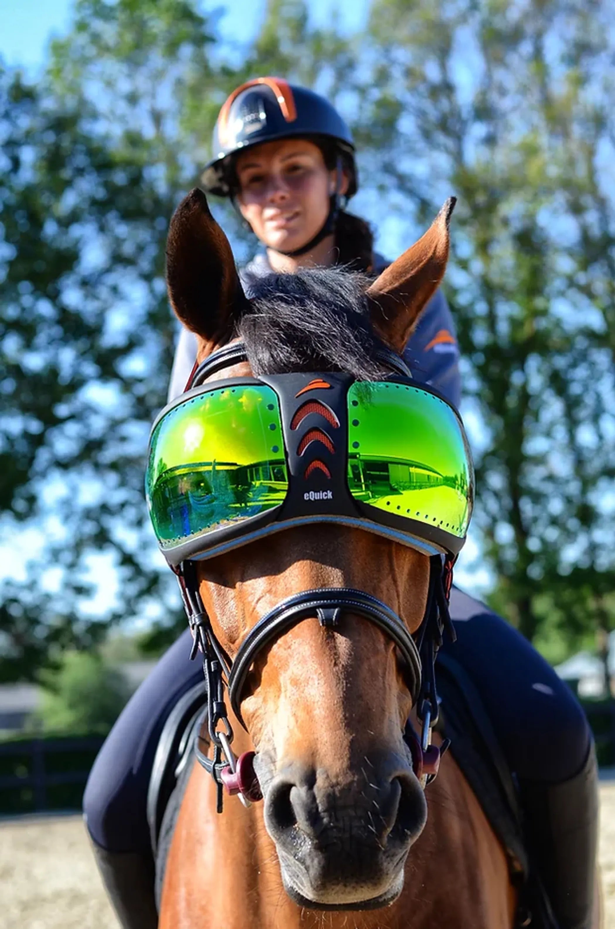 eQuick eVysor transparent